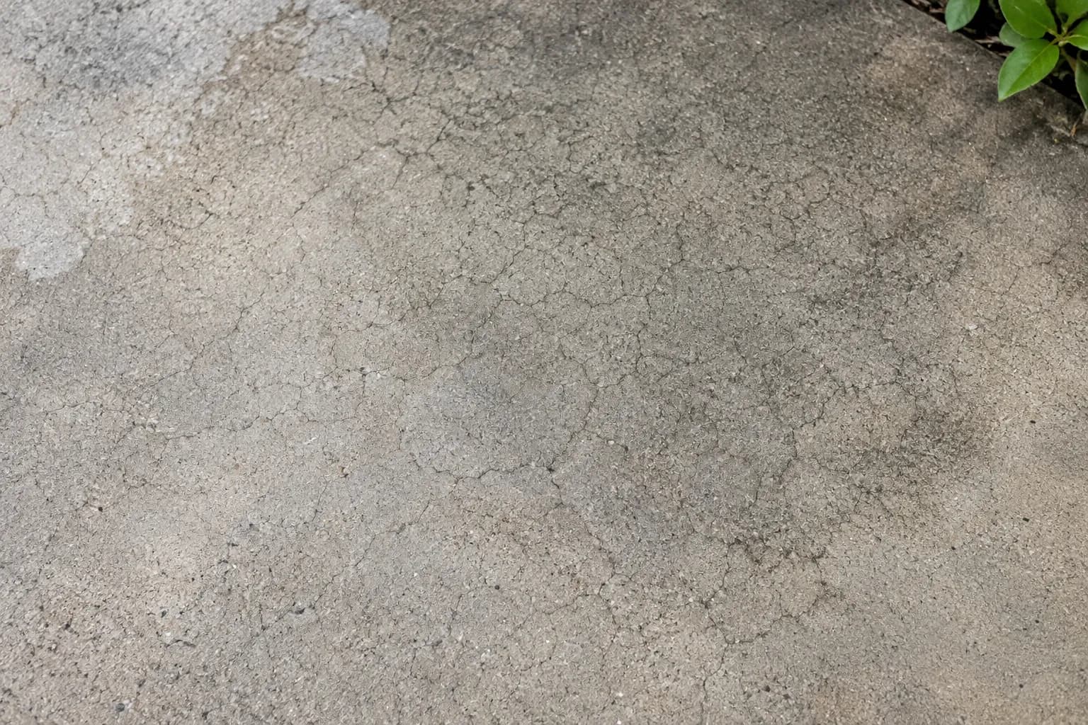 Fine web of shallow crazing lines on a concrete surface